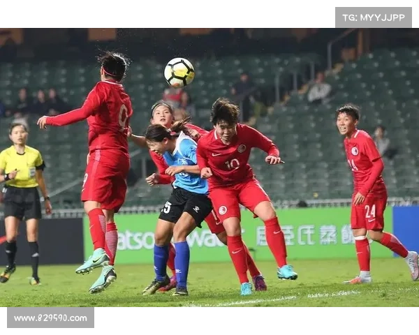 大连鲲城客场不敌佛山南狮 四轮不败纪录遭终结