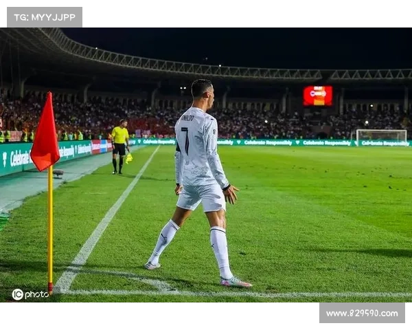 欧足联公布葡萄牙对阵爱尔兰名单菲利克斯与塔瓦雷斯遗憾落选